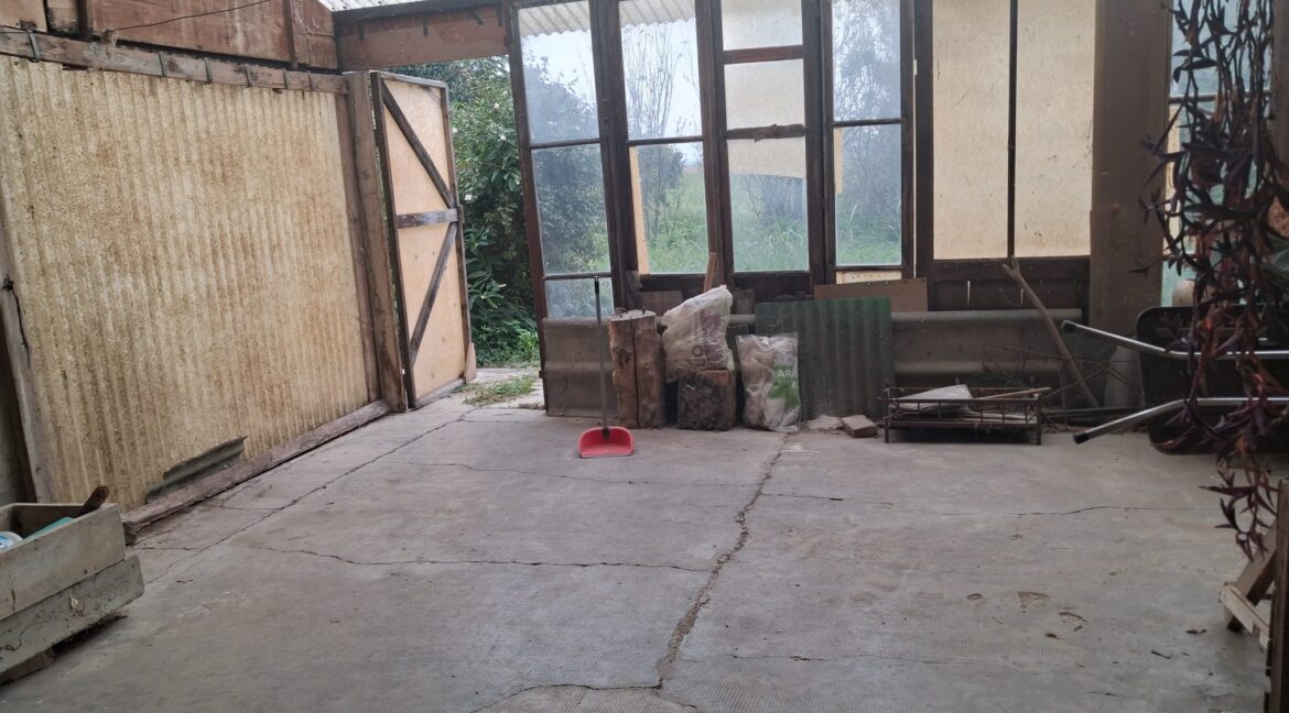 WhatsApp Image 2025-09-26 at 11.14.46 (1)