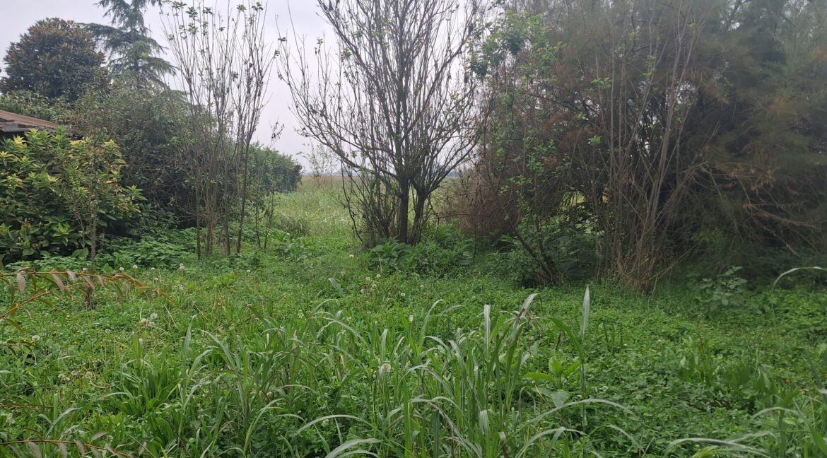 WhatsApp Image 2025-09-26 at 11.14.46