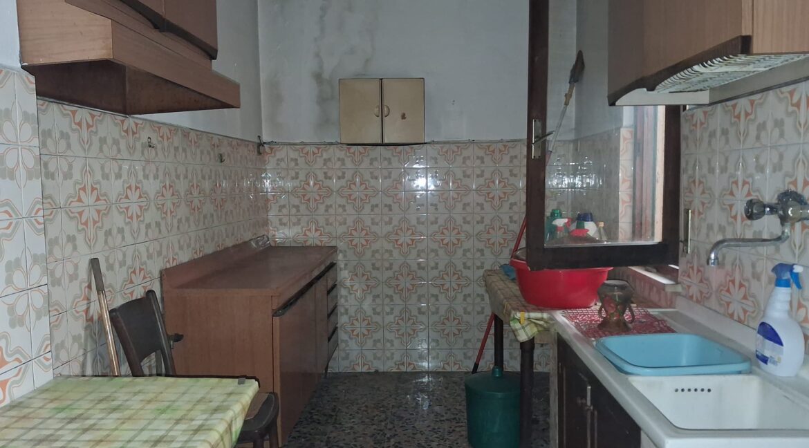 WhatsApp Image 2025-09-26 at 11.14.50