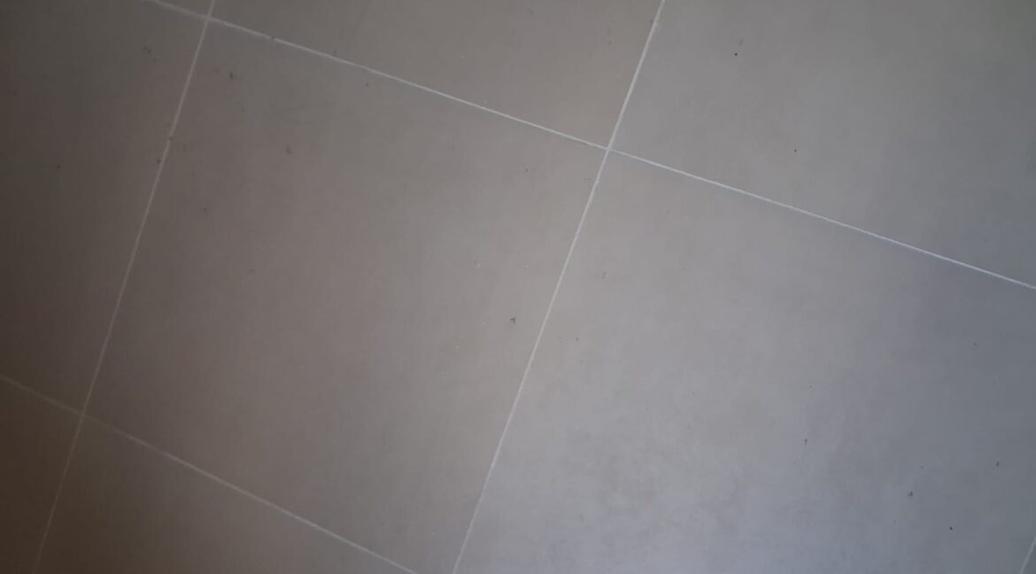 WhatsApp Image 2025-10-15 at 11.38.24