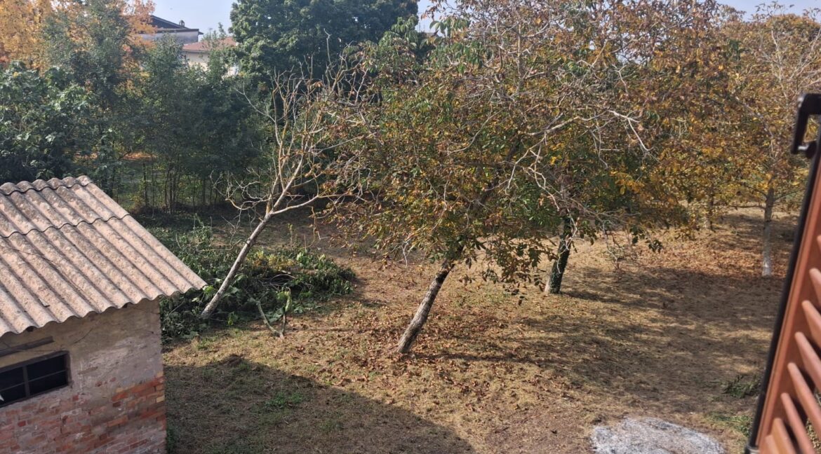 WhatsApp Image 2025-10-15 at 11.38.28