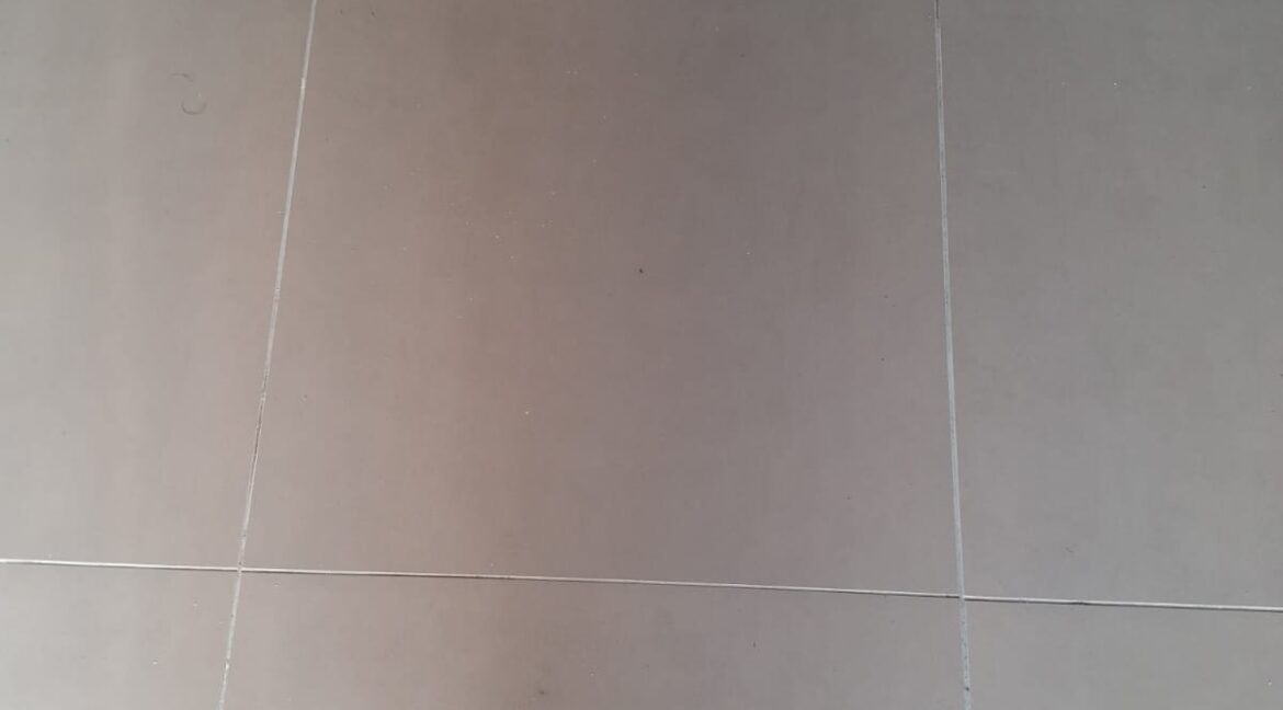 WhatsApp Image 2025-10-15 at 11.38.29