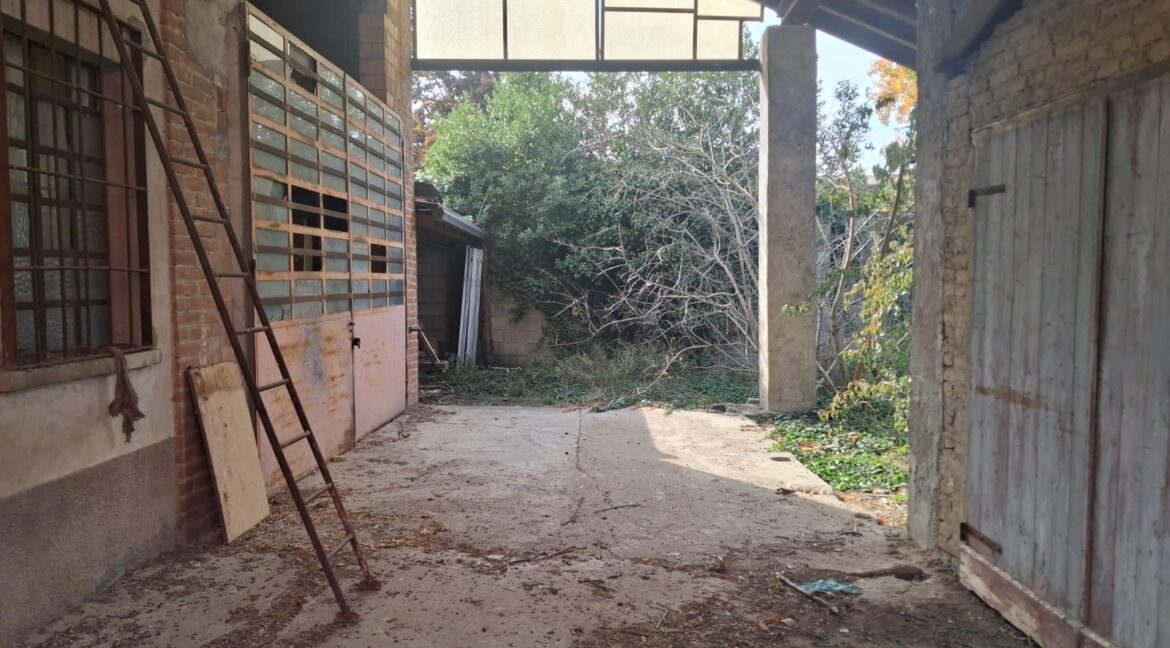 WhatsApp Image 2025-10-15 at 11.38.30 (1)