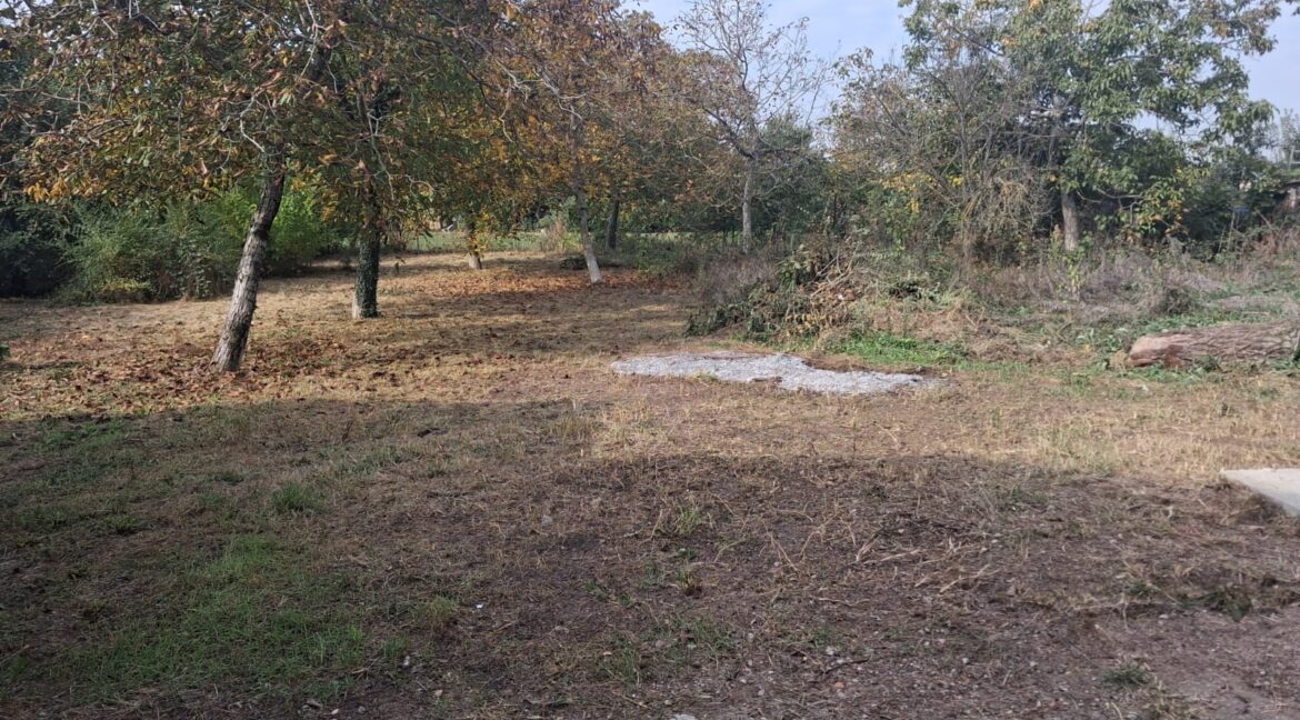 WhatsApp Image 2025-10-15 at 11.38.30