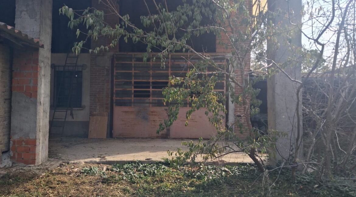 WhatsApp Image 2025-10-15 at 11.38.30 (3)