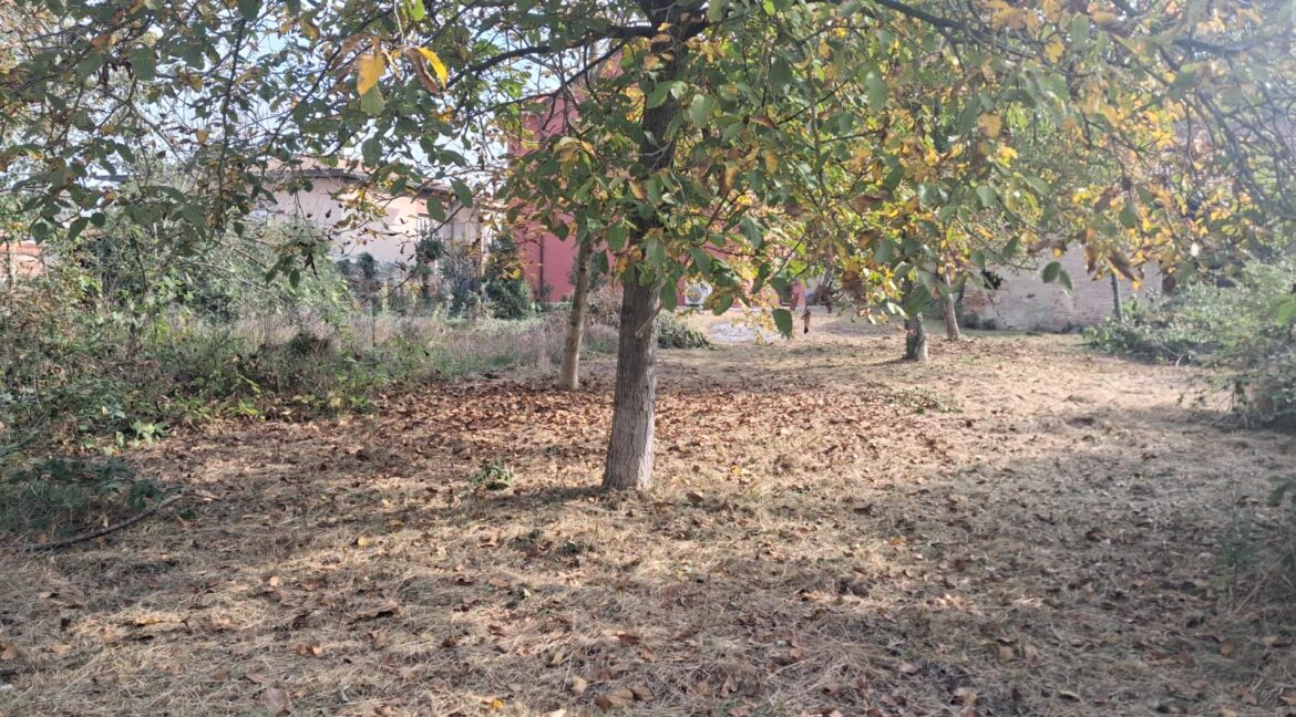 WhatsApp Image 2025-10-15 at 11.38.30 (4)