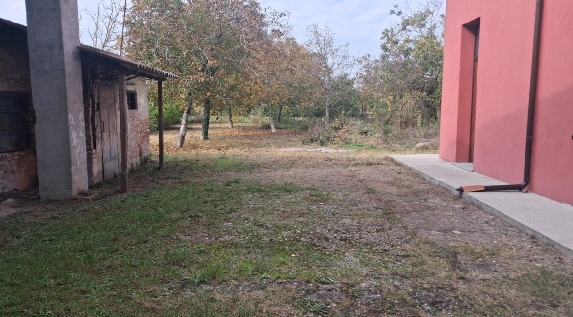 WhatsApp Image 2025-10-15 at 11.38.31