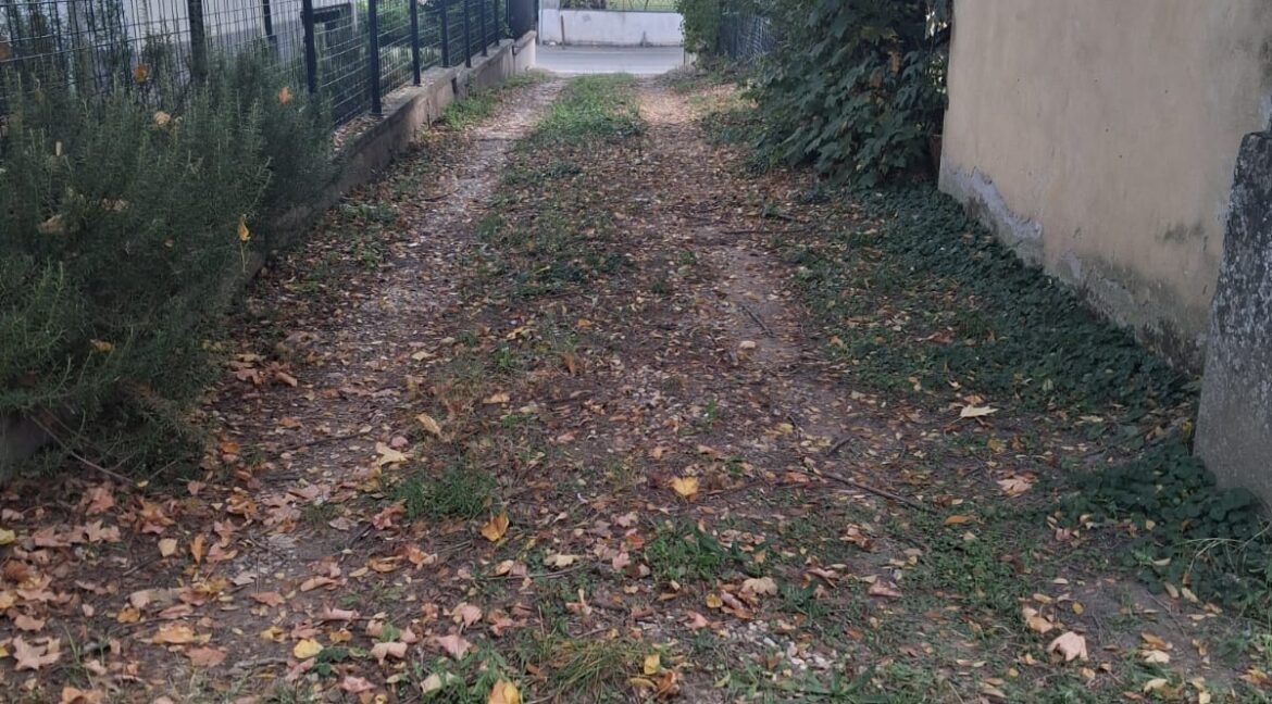 WhatsApp Image 2025-10-15 at 11.39.12 (3)