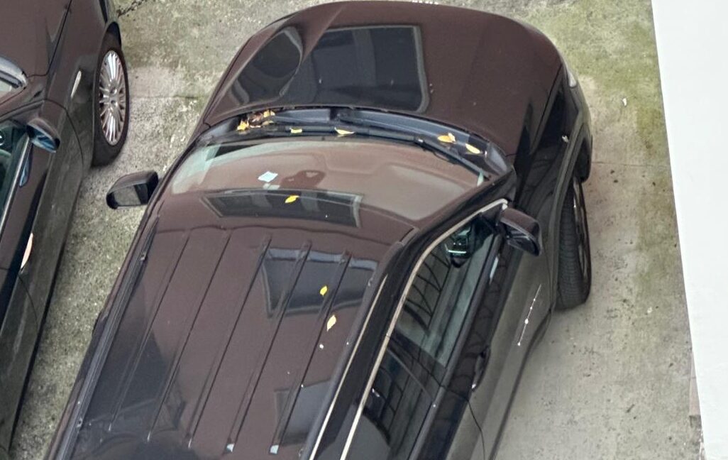 693cf8d4-c7a4-4495-834c-837a30994e4f