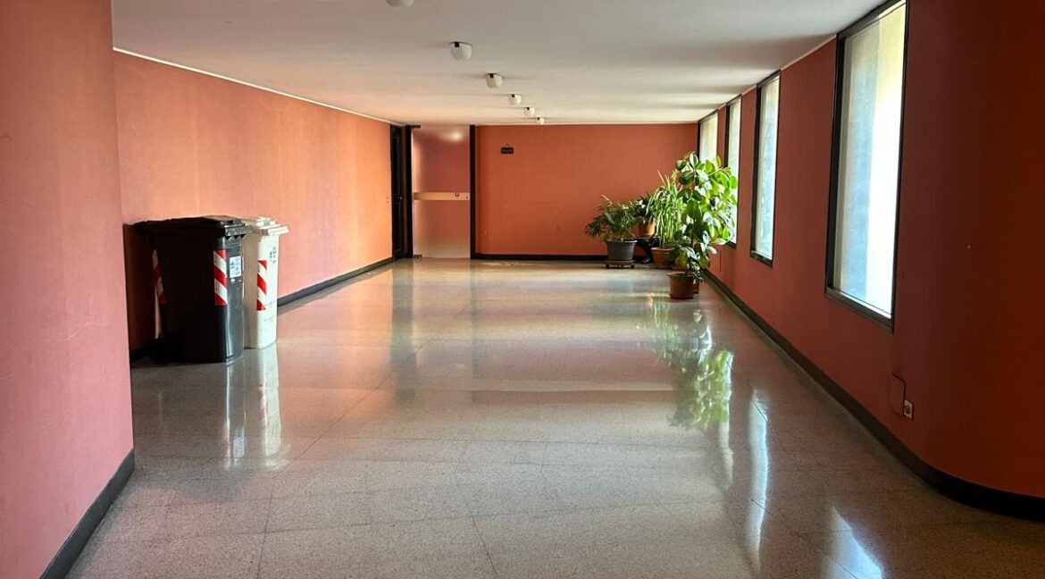 WhatsApp Image 2025-10-27 at 12.10.35