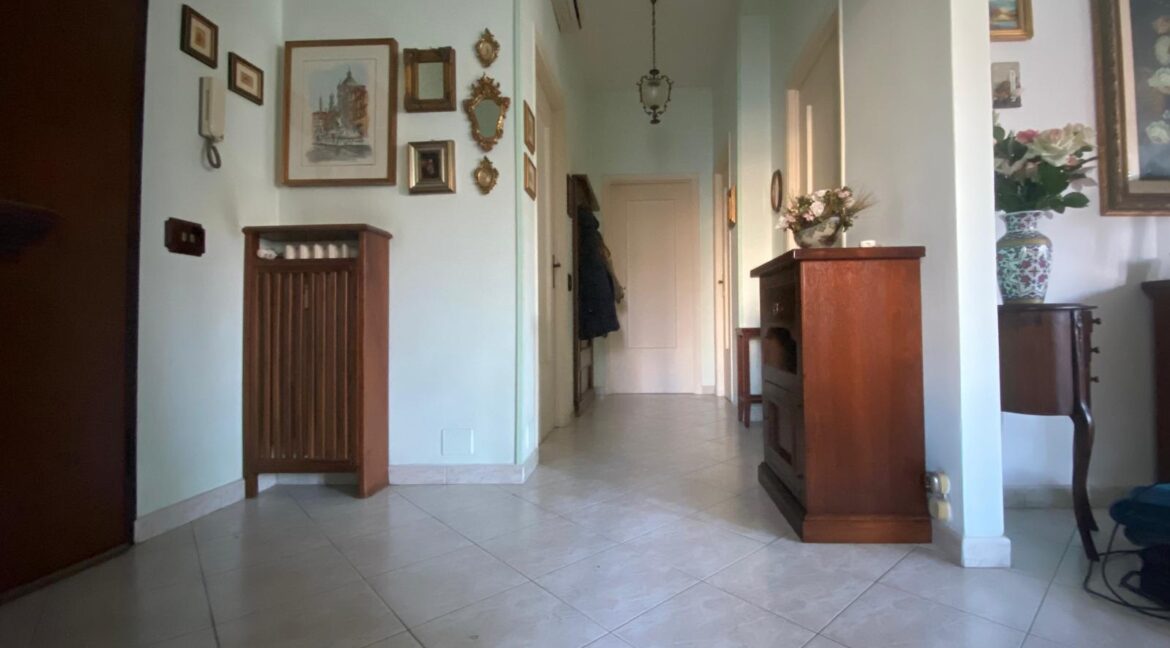 WhatsApp Image 2026-03-31 at 12.15.14