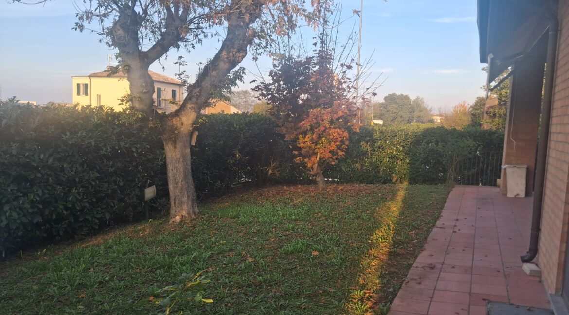 WhatsApp Image 2025-11-10 at 16.48.46 (1)