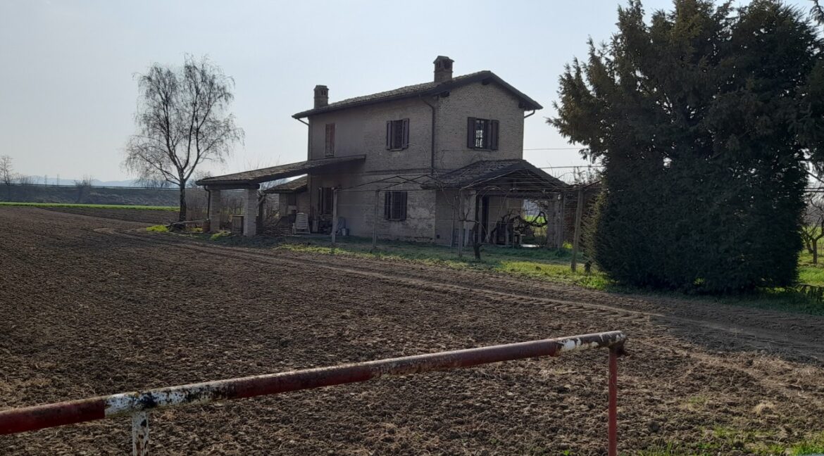 WhatsApp Image 2026-02-05 at 18.40.42 (1)