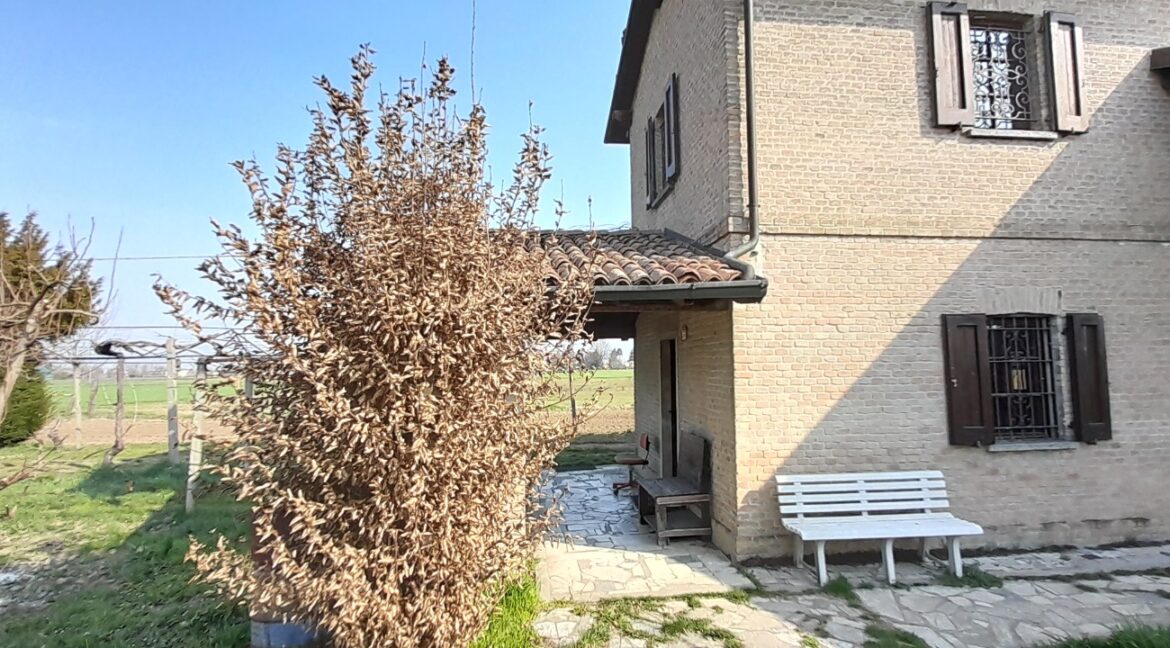 WhatsApp Image 2026-02-05 at 18.40.43 (1)