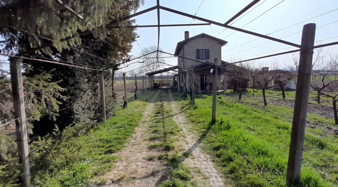 WhatsApp Image 2026-02-05 at 18.40.43