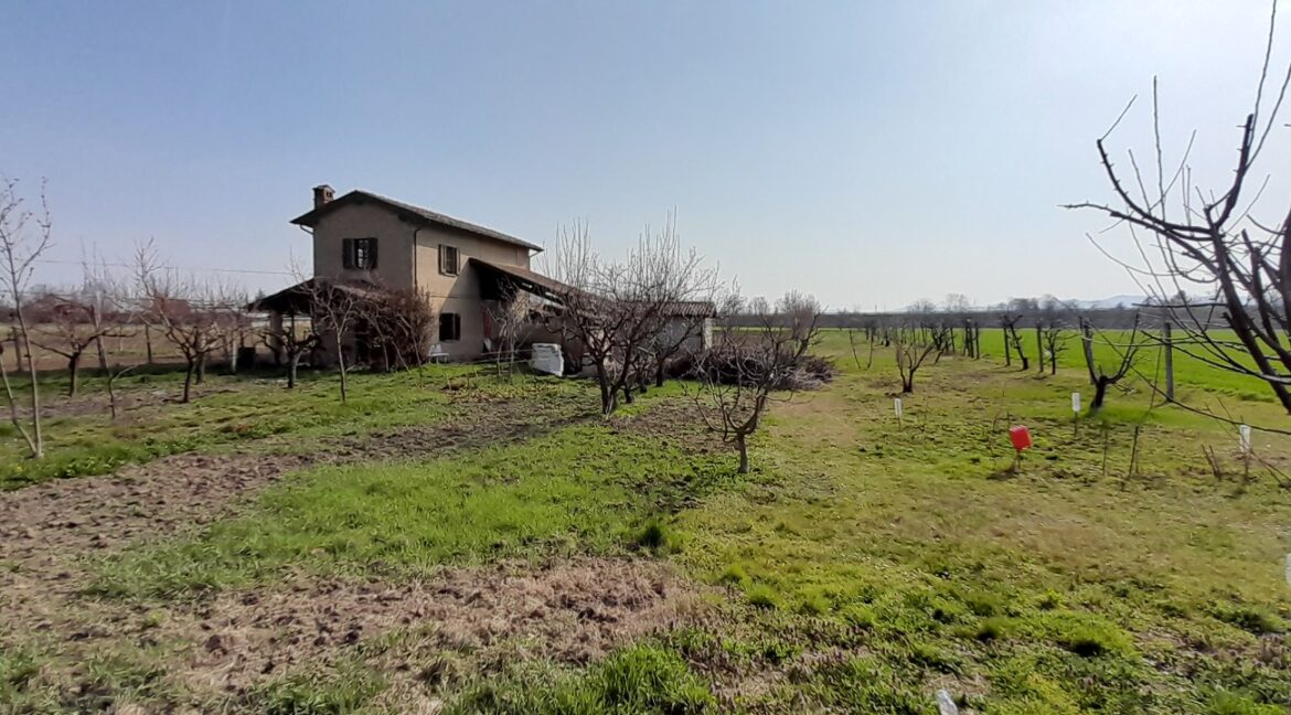 WhatsApp Image 2026-02-05 at 18.40.44 (1)