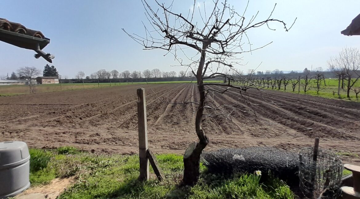 WhatsApp Image 2026-02-05 at 18.40.44