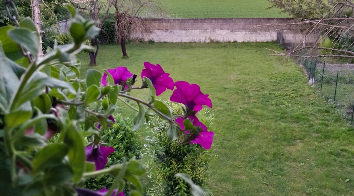 WhatsApp Image 2026-06-15 at 09.55.10 (2)
